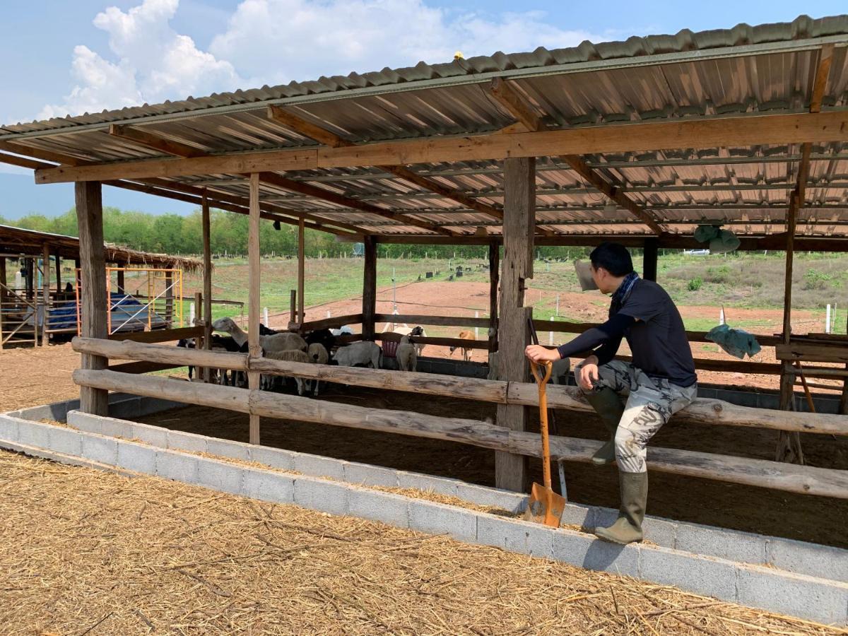 ฟาร์มแกะภูกระดึง Waraporn Valley Ban Nong Tum Exterior foto